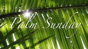 Palm Sunday Wallpapers 2016